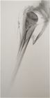 Swordfish, pencil on paper, 110x65cm, 2007
