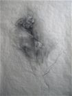 pencil on paper, 106x200cm, 2006